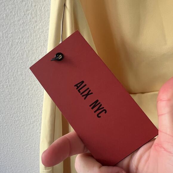 NWT ALIX NYC Hirst Dress Size Small - Picture 5 of 7